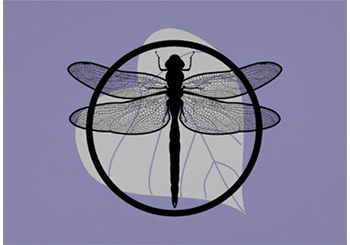 Dragonfly on Leaf Drawing - Wildlife Circle Series Poster