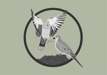 Mourning Doves - Wildlife Circle Series Canvas Print